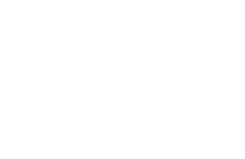 Corporate Initiatives